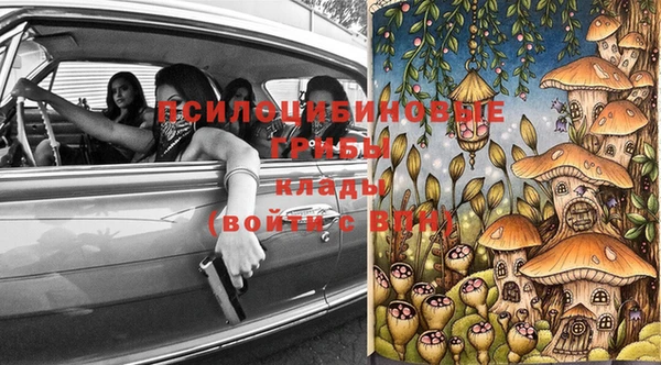 тгк Армянск