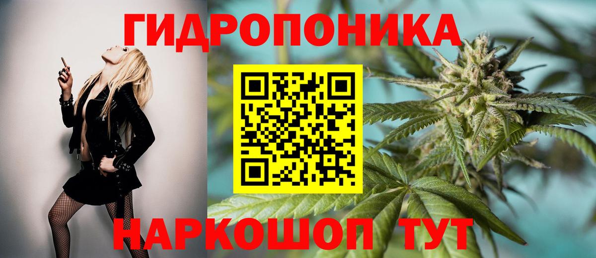 Каннабис планчик  Бошки марихуана марихуана  Вход с VPN  МАРИХУАНА OG Kush  Конопля планчик  Заречный 